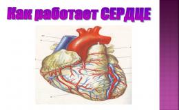 сер